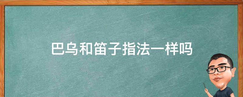 巴乌和笛子指法一样吗（巴乌和笛子的指法一样吗）