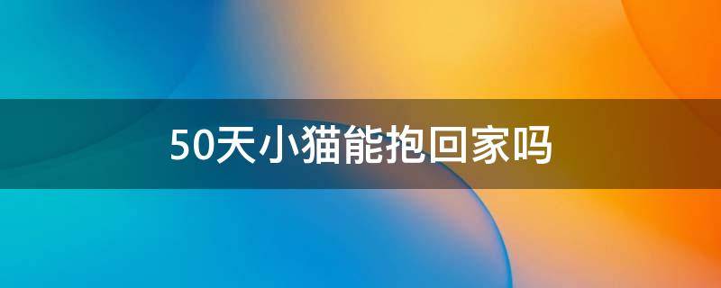 50天小貓能抱回家嗎 貓咪50天可以抱走