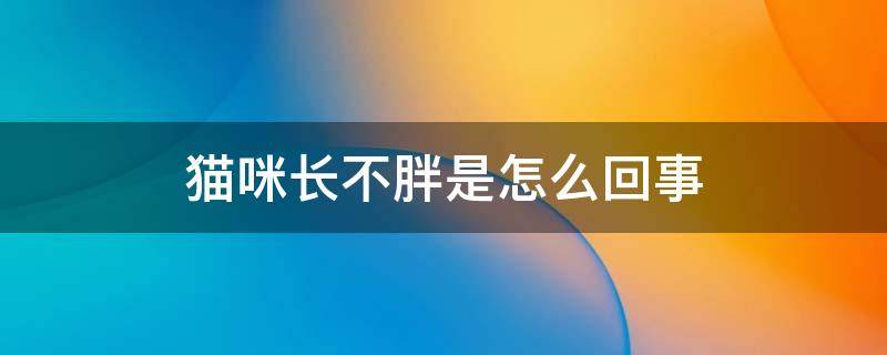 猫咪长不胖是怎么回事 猫一直不长胖是咋回事