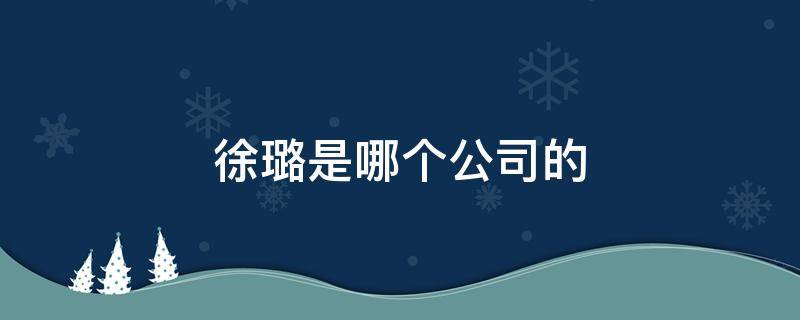 徐璐是哪个公司的 徐璐老板是谁