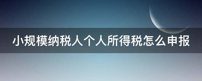 小規(guī)模納稅人個(gè)人所得稅怎么申報(bào)（小規(guī)模納稅人個(gè)人所得稅怎么申報(bào)怎么交）