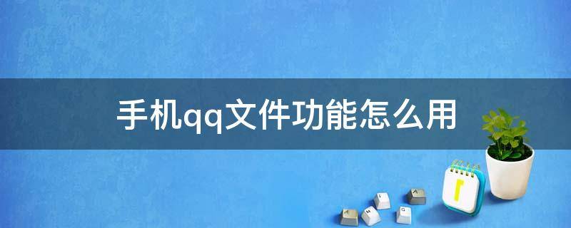 手机qq文件功能怎么用（手机QQ文件怎么弄）