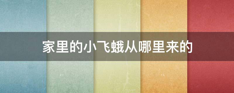 家里的小飞蛾从哪里来的 家里发现小飞蛾