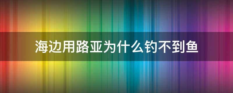 海邊用路亞為什么釣不到魚 海邊能用路亞釣魚嗎