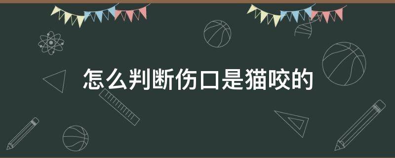 怎么判断伤口是猫咬的 猫咬的伤口是什么样子的