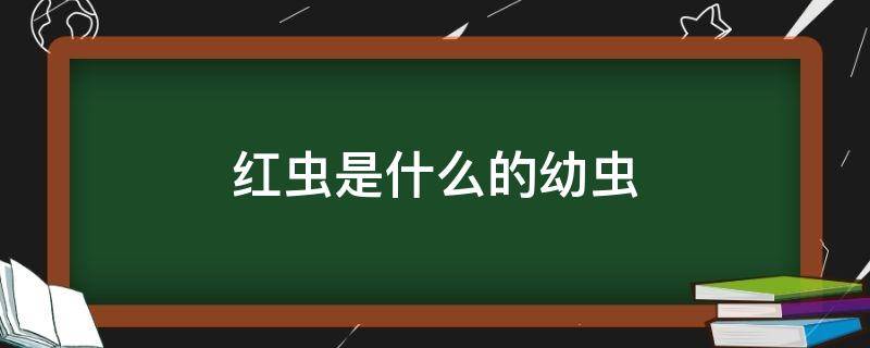 红虫是什么的幼虫（红虫是什么的幼虫图片）