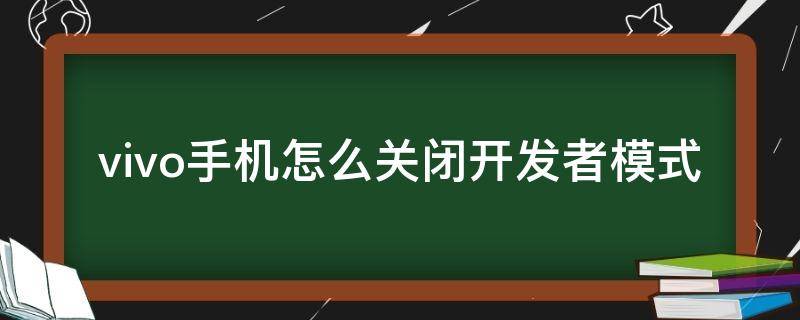 vivo手机怎么关闭开发者模式 Vivo手机怎么关闭开发者模式