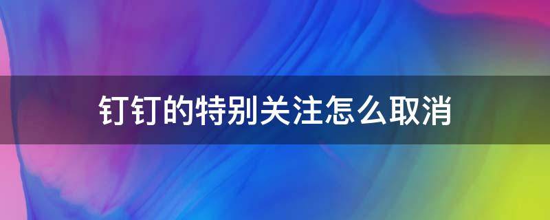 钉钉的特别关注怎么取消 钉钉里面的特别关注怎么取消