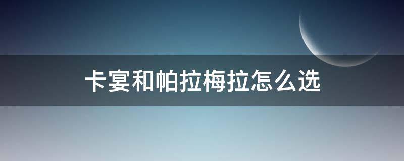 卡宴和帕拉梅拉怎么选（卡宴 帕拉梅拉 怎么选）