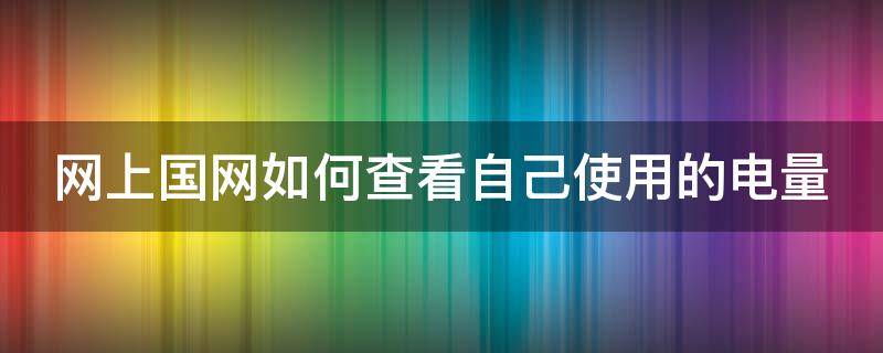 网上国网如何查看自己使用的电量（网上国网怎么查询用电量）