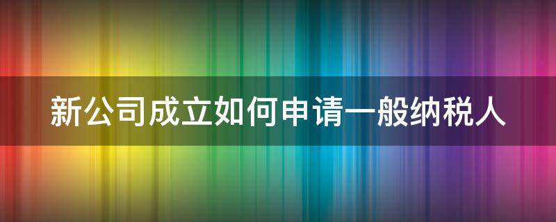 新公司成立如何申請(qǐng)一般納稅人（新公司成立如何申請(qǐng)一般納稅人資格證明）