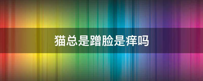 猫总是蹭脸是痒吗 猫咪脸痒想蹭人怎么回事