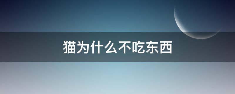 猫为什么不吃东西（怀孕的猫为什么不吃东西）