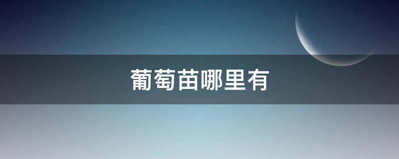 葡萄苗哪里有 葡萄苗哪里有卖价钱多少一支