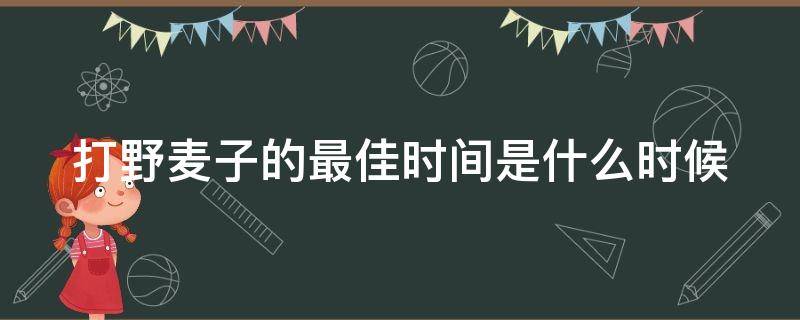 打野麦子的最佳时间是什么时候 打野麦子的最佳时间是什么时候的