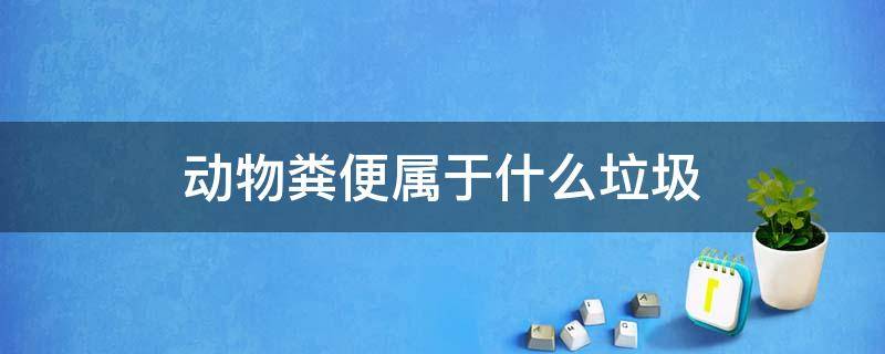 動物糞便屬于什么垃圾 動物糞便屬于什么垃圾分類