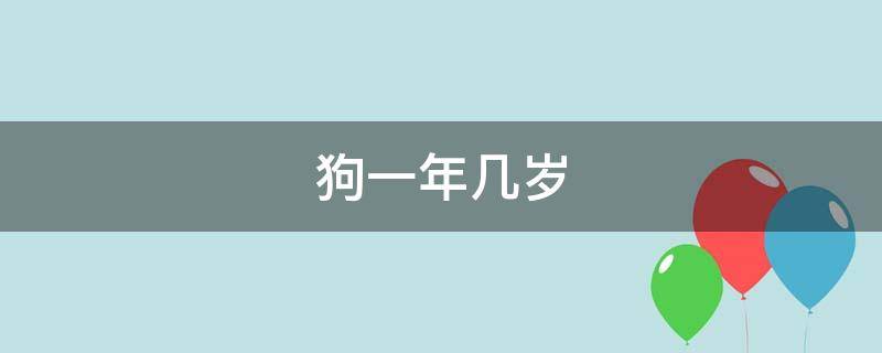 狗一年几岁（狗一年几岁相当于人的几岁）