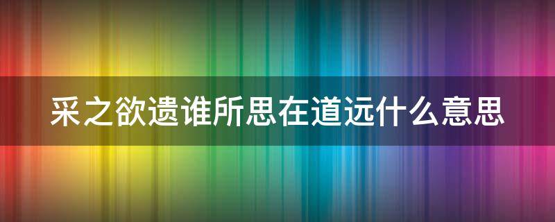 采之欲遗谁所思在道远什么意思（采之欲遗谁下一句）