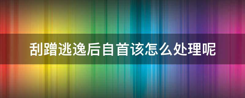 刮蹭逃逸后自首該怎么處理呢（刮蹭逃逸怎么辦）