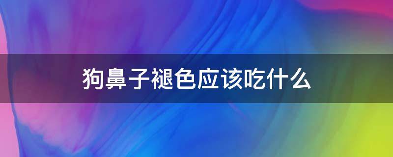 狗鼻子褪色应该吃什么（狗鼻子褪色吃什么可以补）