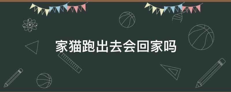 家猫跑出去会回家吗 猫会自己跑回家吗