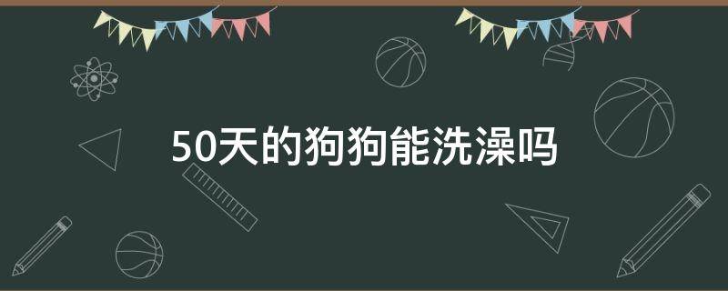 50天的狗狗能洗澡吗（50天的狗宝宝能洗澡吗）