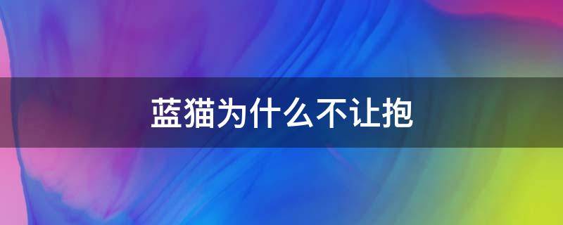 藍貓為什么不讓抱（藍貓為啥不讓抱）