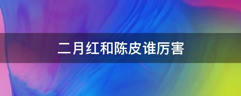 二月红和陈皮谁厉害 陈皮讨厌二月红吗