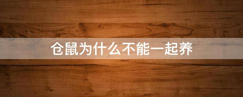 仓鼠为什么不能一起养（仓鼠为什么不可以一起养）