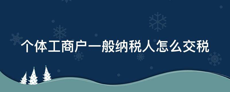 个体工商户一般纳税人怎么交税（个体工商户一般纳税人所得税怎么交）