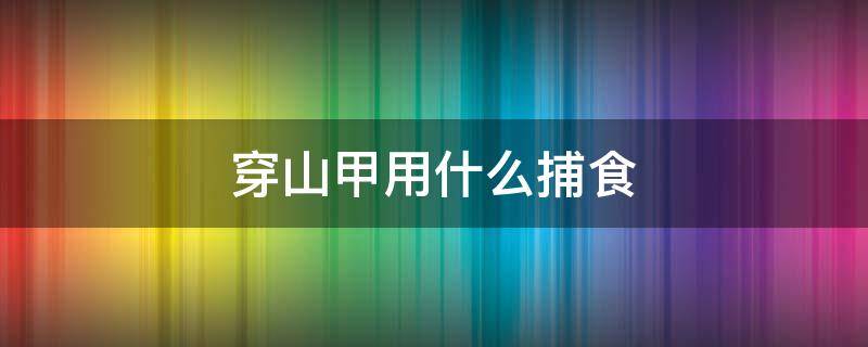 穿山甲用什么捕食 穿山甲用什么捕食(单选