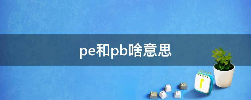 pe和pb啥意思 什么是pe和pb