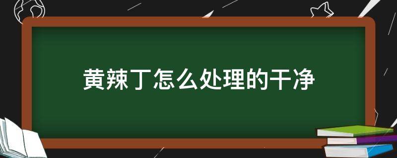 黄辣丁怎么处理的干净（处理黄辣丁的方法）