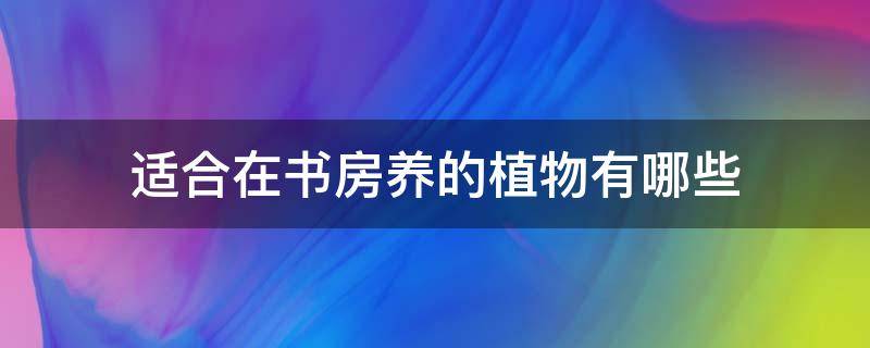 適合在書房養(yǎng)的植物有哪些（書房適合養(yǎng)什么綠植）