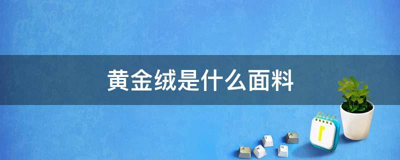 黄金绒是什么面料 黄金绒是什么面料可以水洗吗