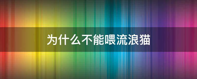 为什么不能喂流浪猫 为啥不能喂流浪猫