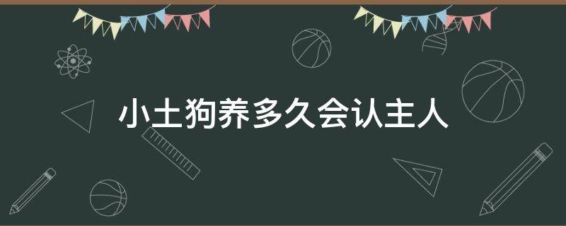 小土狗養(yǎng)多久會(huì)認(rèn)主人 小土狗養(yǎng)多久長(zhǎng)大