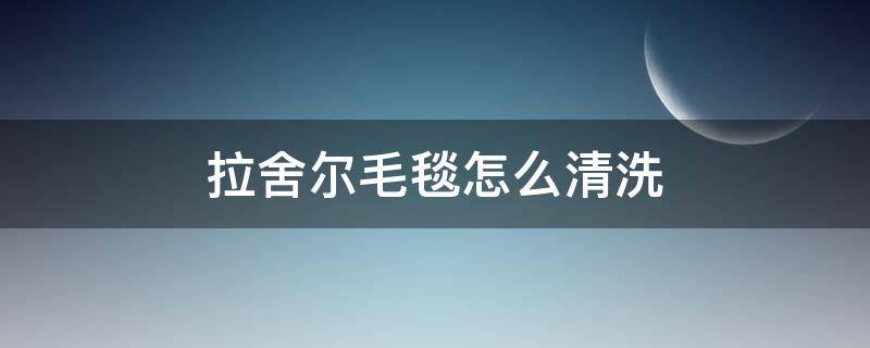 拉舍尔毛毯怎么清洗（拉舍尔毛毯能干洗吗）