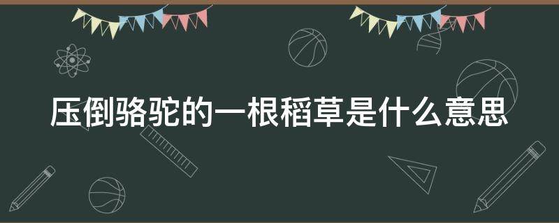 壓倒駱駝的一根稻草是什么意思（壓倒駱駝的一根稻草動(dòng)畫配圖）