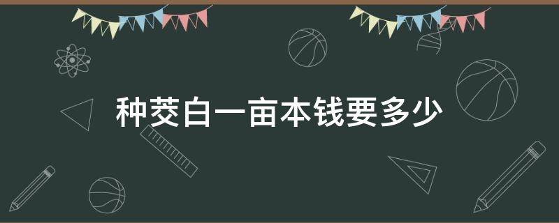 种茭白一亩本钱要多少（十亩茭白能赚多少钱）