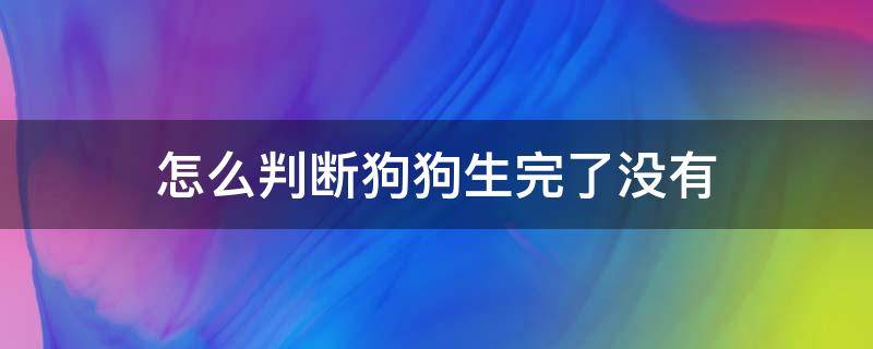 怎么判断狗狗生完了没有 怎么判断狗狗生完了没有,我不会摸