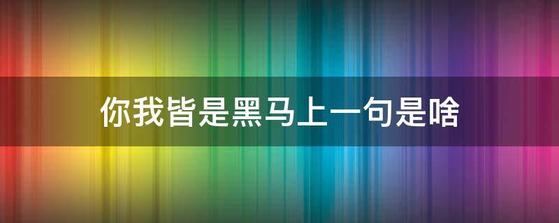 你我皆是黑马上一句是啥（你我皆是黑马上一句是啥意思）