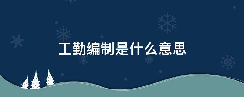 工勤编制是什么意思（事业单位工勤编制是什么意思）