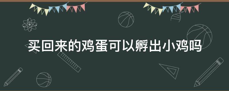 买回来的鸡蛋可以孵出小鸡吗 刚买的鸡蛋能孵出小鸡吗