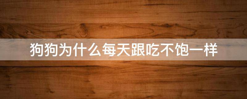 狗狗为什么每天跟吃不饱一样 狗狗为什么每天跟吃不饱一样,到处找吃的