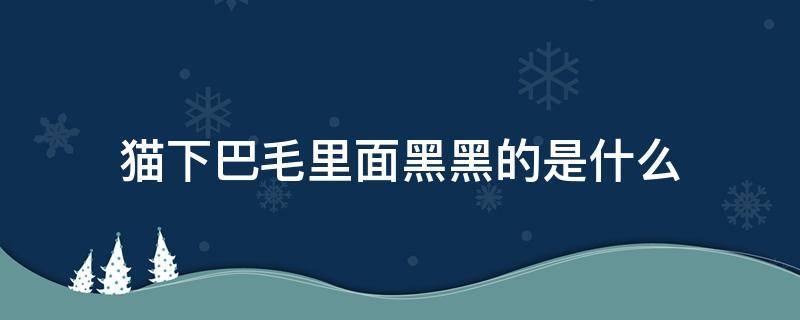 猫下巴毛里面黑黑的是什么（猫的下巴毛里有黑色的是什么）