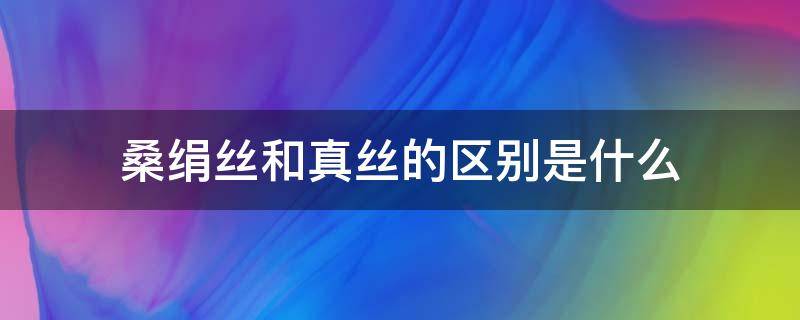 桑绢丝和真丝的区别是什么 绢丝和桑蚕丝有什么区别