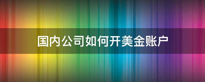 国内公司如何开美金账户 国内公司如何开美金账户 法人去不了