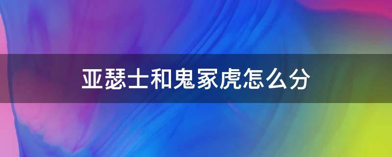 亚瑟士和鬼冢虎怎么分（亚瑟士和鬼冢虎怎么分真假）