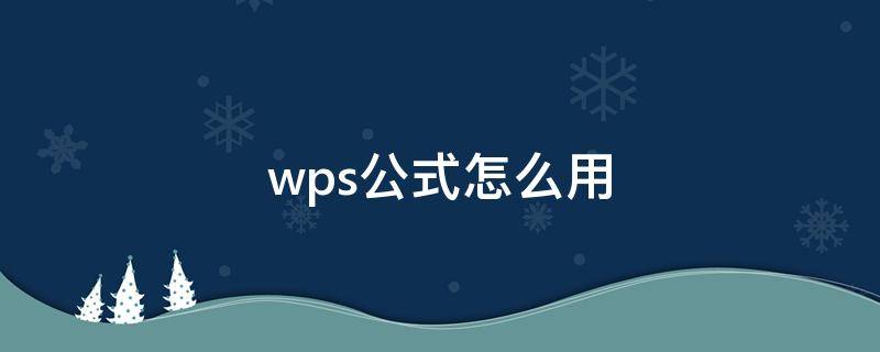 wps公式怎么用（wps公式怎么用法）